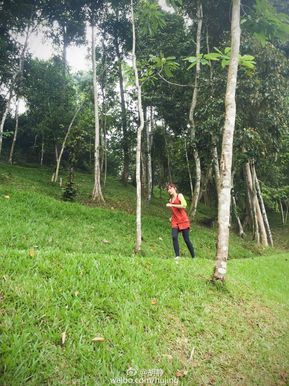 虹麟至尊手游-虹麟至尊安卓版v1.0（暂未上线）