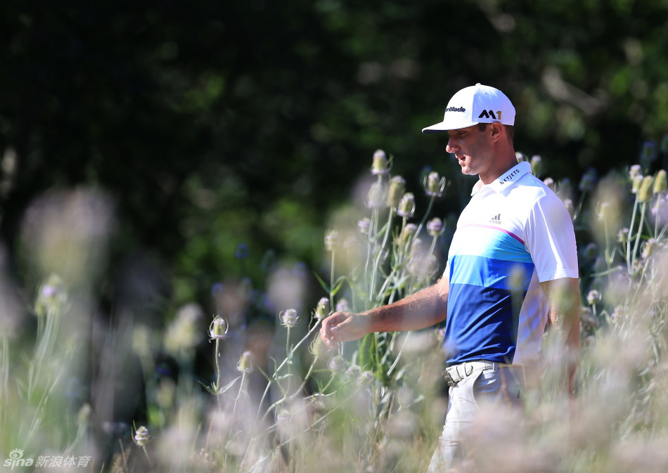 达斯汀-约翰逊在格兰阿比球场上专注地观察果岭线路，阳光洒在他的侧脸，展现出世界第二的从容与自信