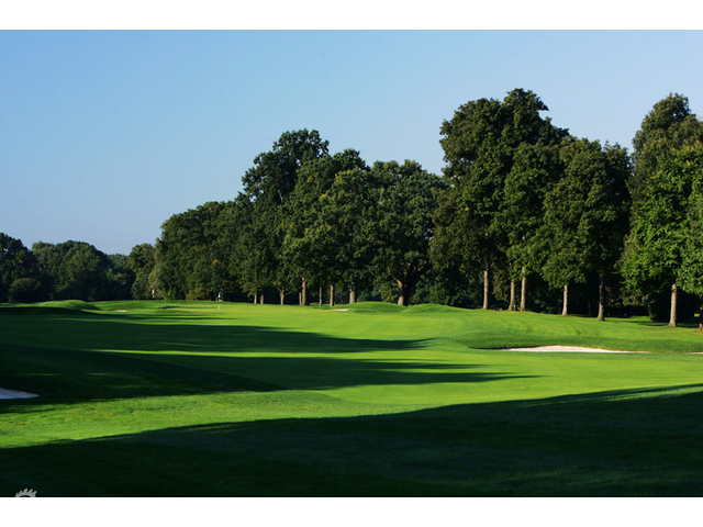 球道俯瞰图，绿意盎然的球道在树林间巧妙穿梭，沙坑如宝石般点缀其中，构成一幅战略画卷。