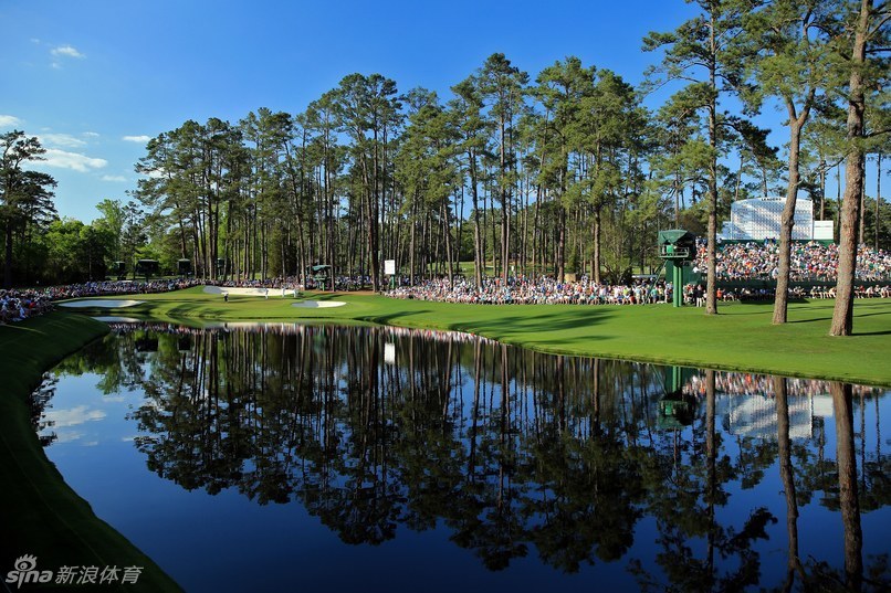 松树谷秋日球道：金黄与翠绿交织的林间通道，引领向远方若隐若现的果岭