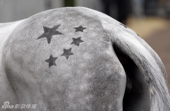 奥运会马术首金即将诞生！小将华生帅气私照曝光