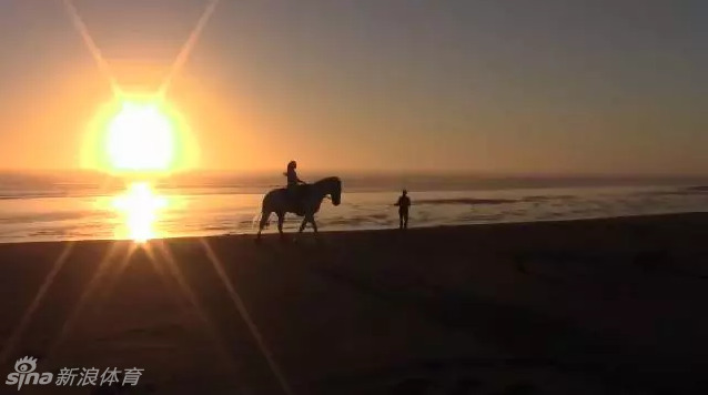 一人一马夕阳西下画面美呆了_高清图集_新浪网