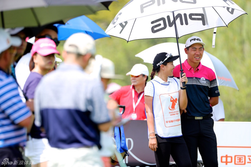 曹一独自蹲在果岭边，凝神研究球洞位置与周边地形，陷入深沉的战术思考。