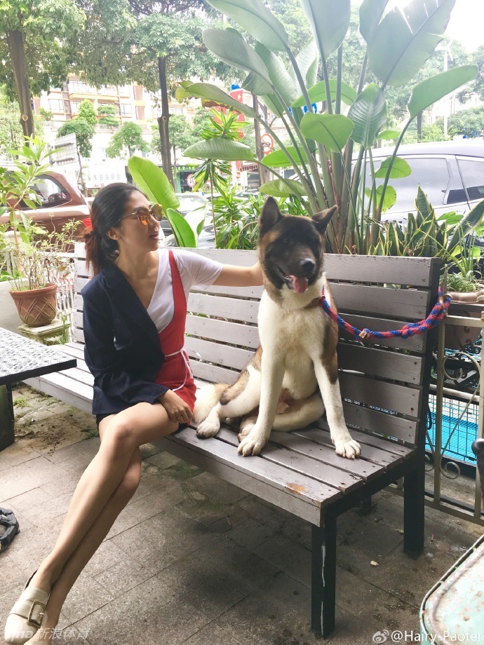 李跑身穿时尚牛仔短裤在户外与爱犬亲密互动，她蹲下身子温柔地抚摸秋田犬，修长美腿在阳光下格外抢镜。