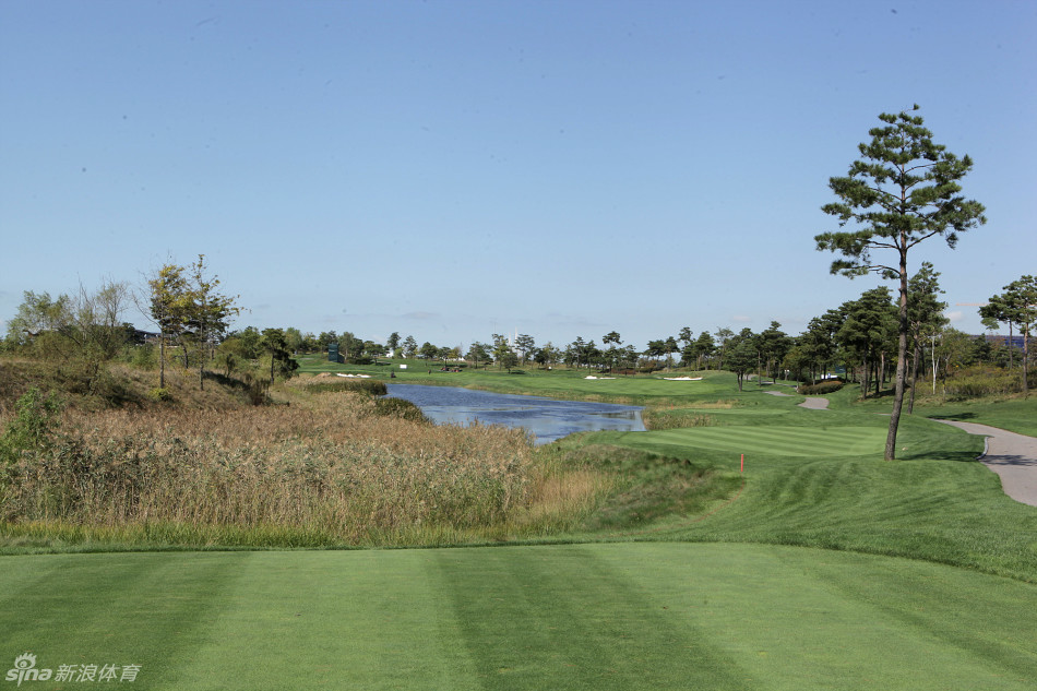 球场3号洞，一条优美的球道在起伏的丘陵与战略性分布的沙坑间蜿蜒，考验着球员对落点的每一分算计。