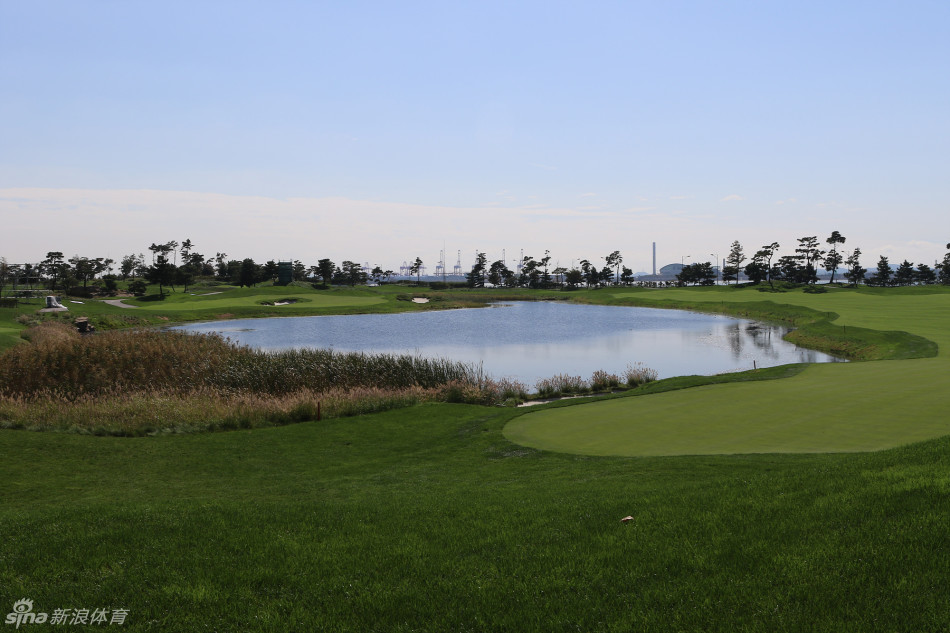 球场4号洞，开阔的球道与起伏的果岭在午后的阳光下形成鲜明光影，策略与力量在此洞需要完美结合。