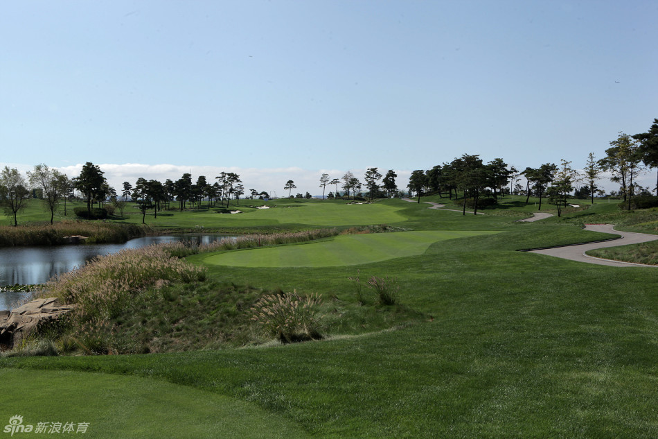 11号洞果岭环抱着清澈的水障碍，倒映着天空与树木，球员需要精准的铁杆和冷静的头脑才能在此处捉鸟。