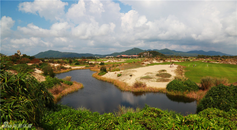 高尔夫球滚向球洞的特写，果岭纹理与球体光影细腻可见