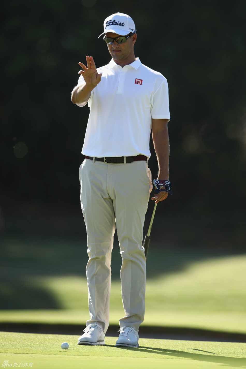 亚当·斯科特在果岭边凝神观察推杆线路，侧影在悉尼的阳光下显得沉稳而专注