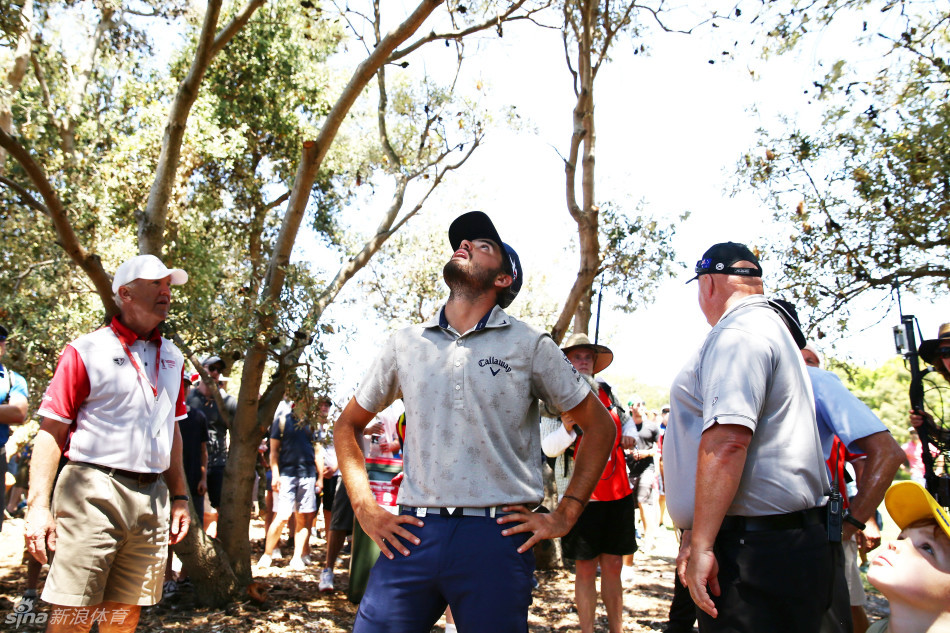 业余选手拉克在皇家悉尼球场的长草区中仔细寻找高尔夫球，展现了比赛的挑战性