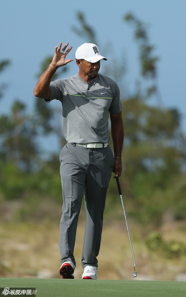 伍兹在果岭边蹲姿看线，眼神如鹰隼般锐利，精确计算着每一次推击的路线与力量