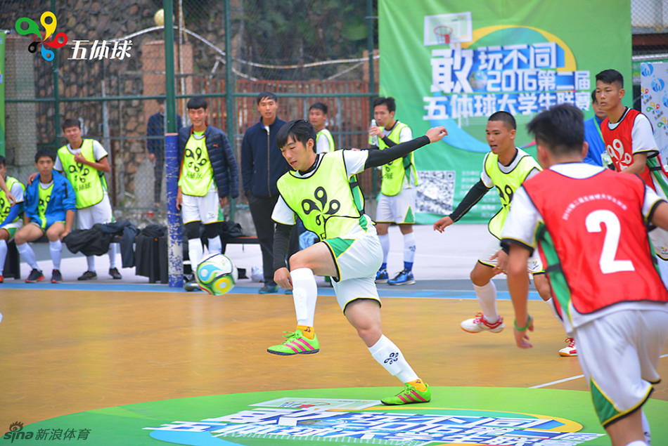 冠军体育app下载