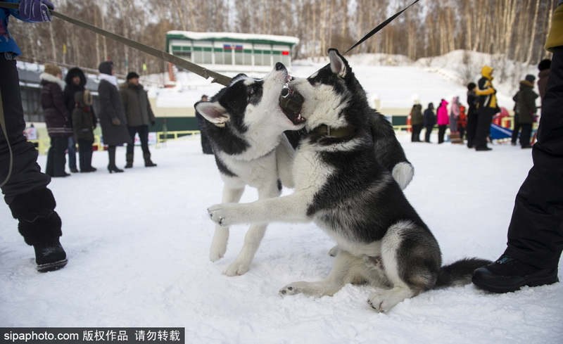 6t体育·(中国)官方网站