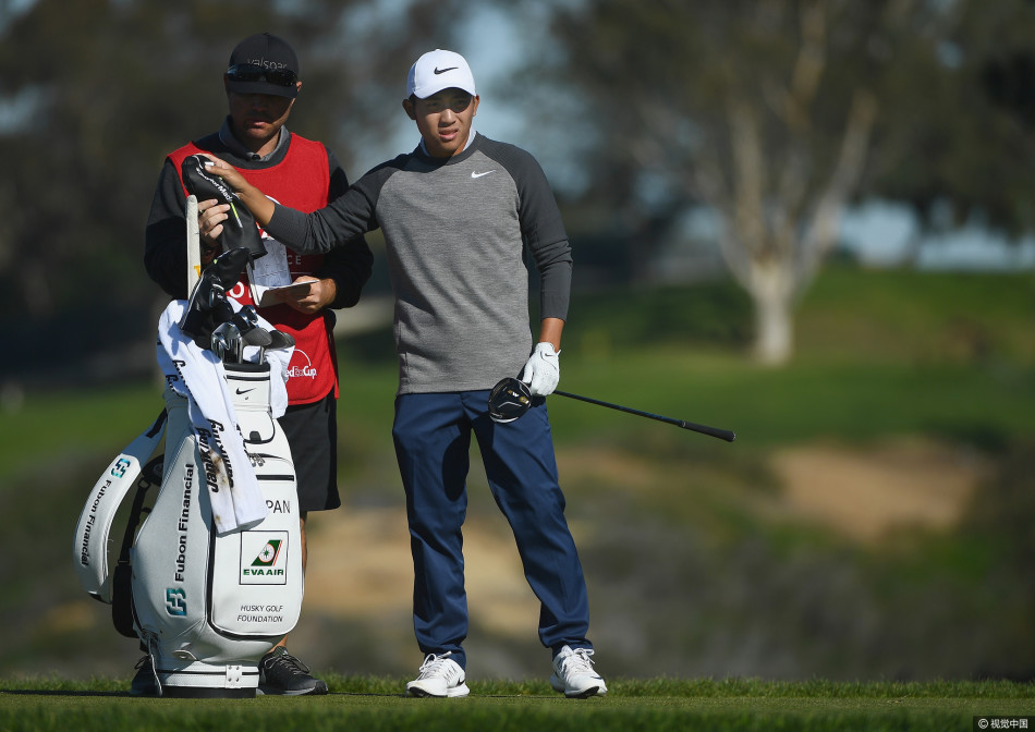 观众聚集在果岭周围,为球员一记精彩的推杆进洞而欢呼庆祝,现场洋溢着激动人心的赛事氛围。