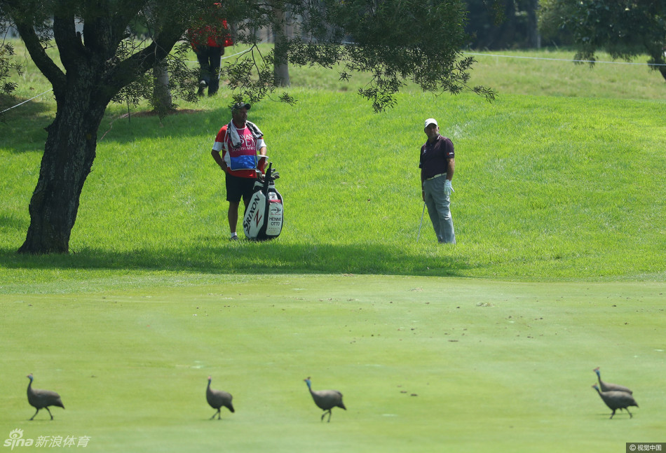 苏格兰选手邓肯·斯图尔特在沙坑中专注处理困难球位，展现了球员在挑战面前的坚韧不拔。