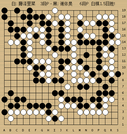 动图棋谱-日本女子名人战决赛Ⅱ