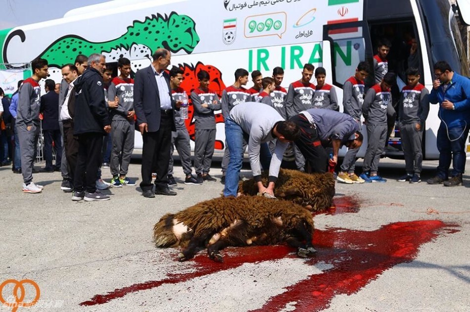 2017年机动车报废补贴政策,你车合格吗?