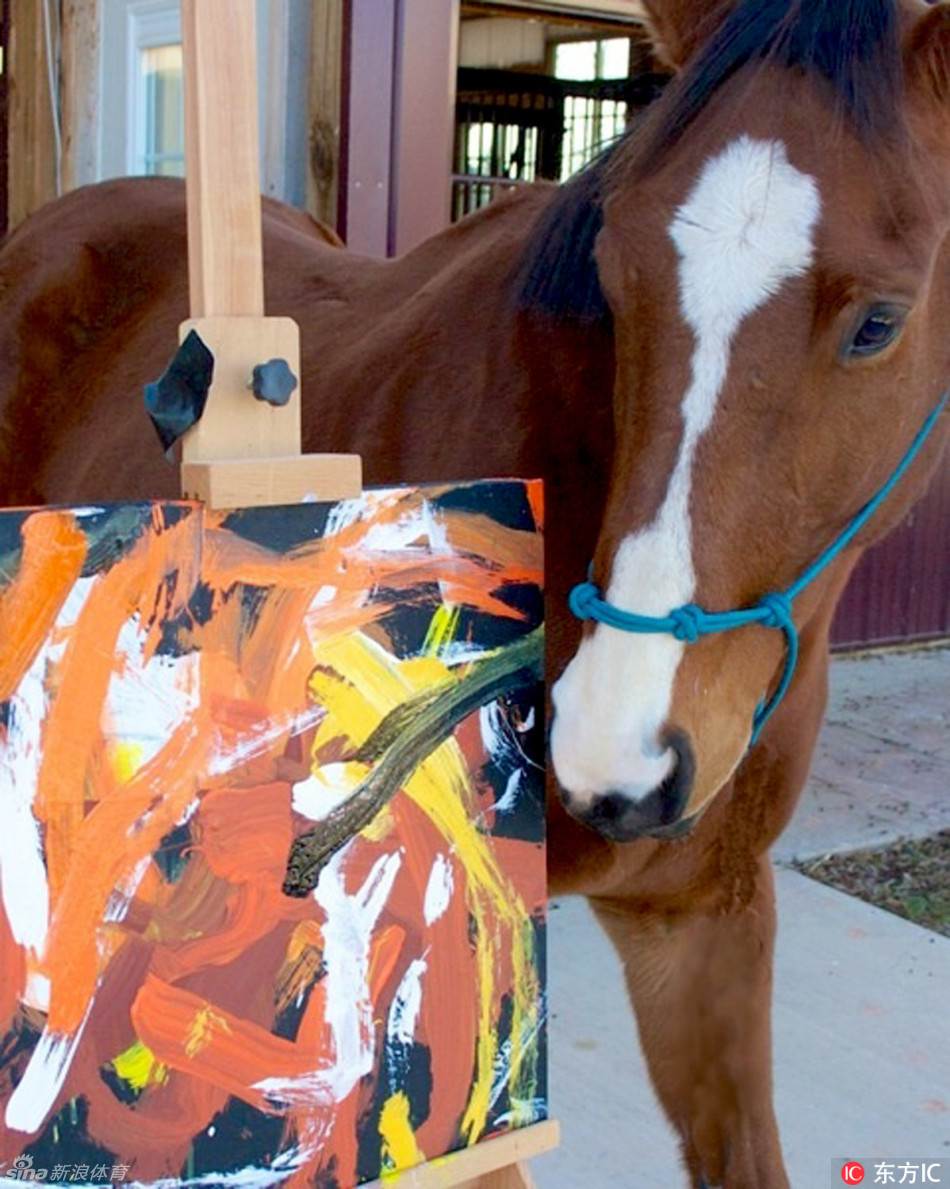 快成精了！冠军赛马伤退 叼起画笔成网红(组图)