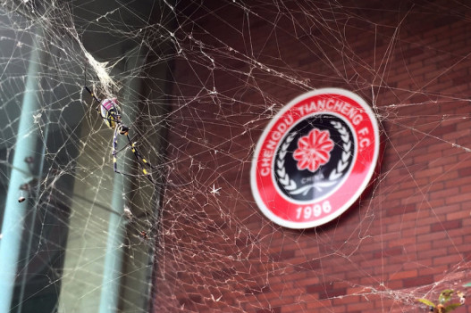 西德韦尔：当加纳乔状态好的时候，他是欧洲的最佳球员之一