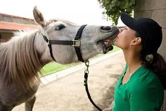 胜利娱乐平台登录截图5