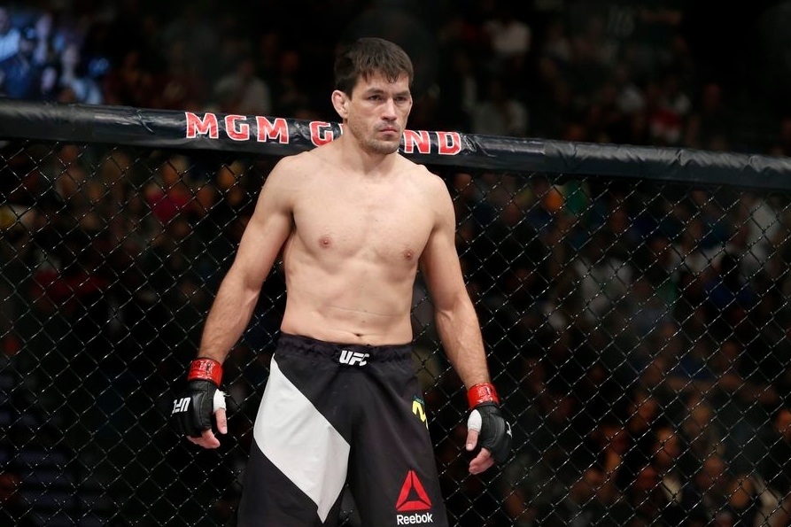 颜色扩散官方版