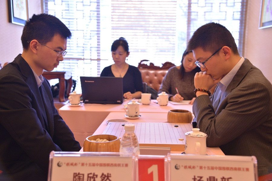 金木棉真人百家乐相关图片