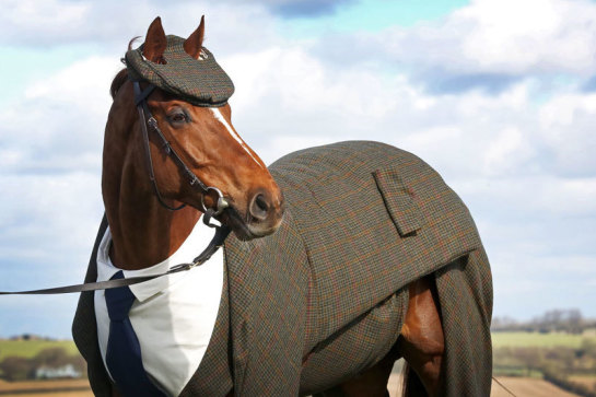 米兰全站体育app官网下载