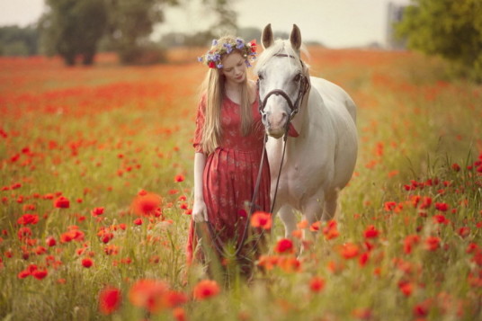 6T体育APP官网入口界面截图