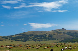 风速体育app下载