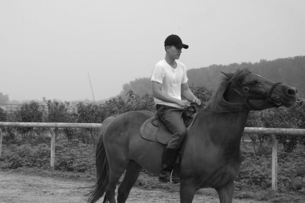 tb体育登录入口官网