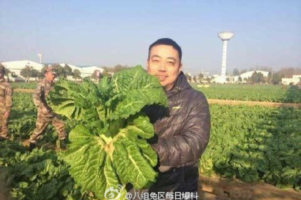 万博官网登录在线登录截图