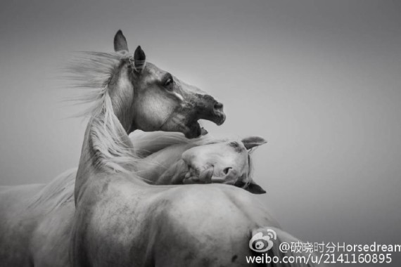 凯发官方手机app截图2
