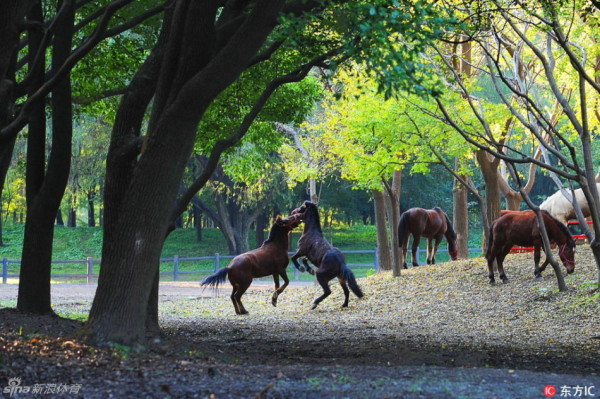 bet9体育娱乐入口