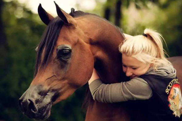 必发365下载进入