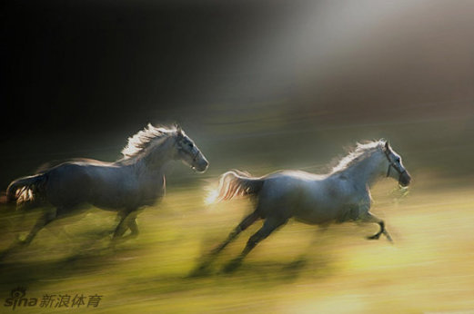 pony讯体育下载相关图片