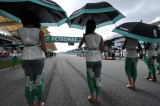 F1վ