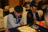 象棋大师郭凤达出战