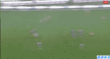 ˺ķֽ