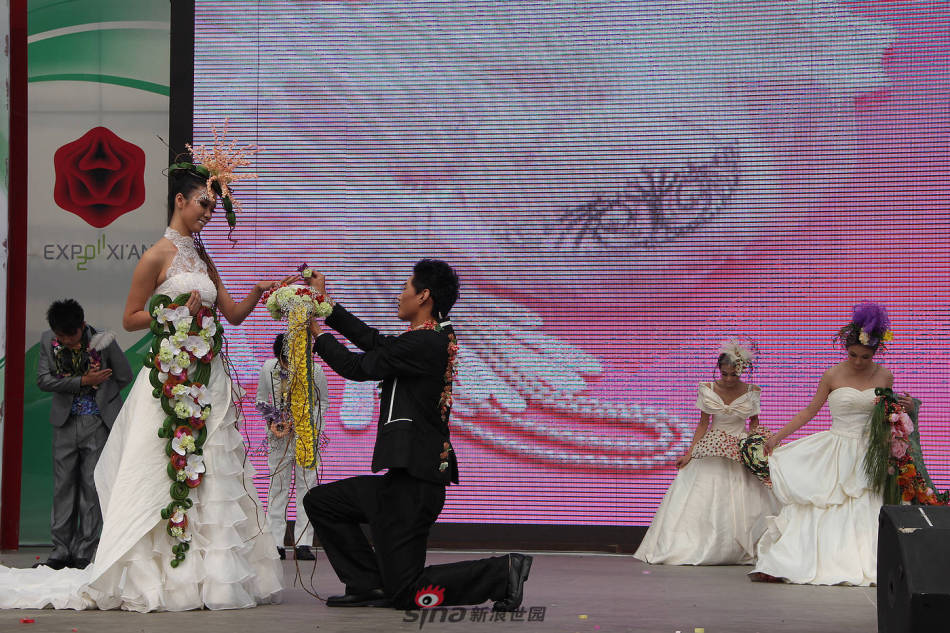 世园会婚纱_扬州世园会(2)