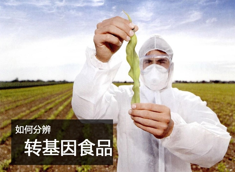 中超预备队联赛积分榜-乐鱼app(leyu)官方网站-乐鱼官网