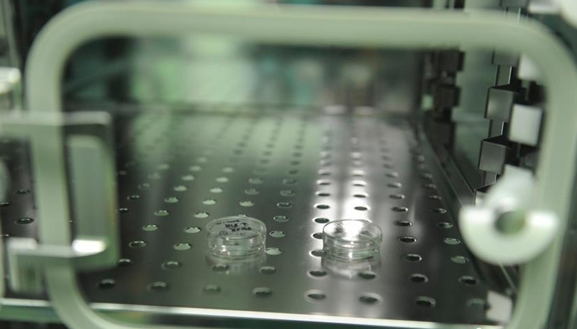 二胎新政或唤醒冷冻胚胎技术 催生技术二孩