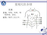 冬病夏治 三伏贴常用穴位介绍
