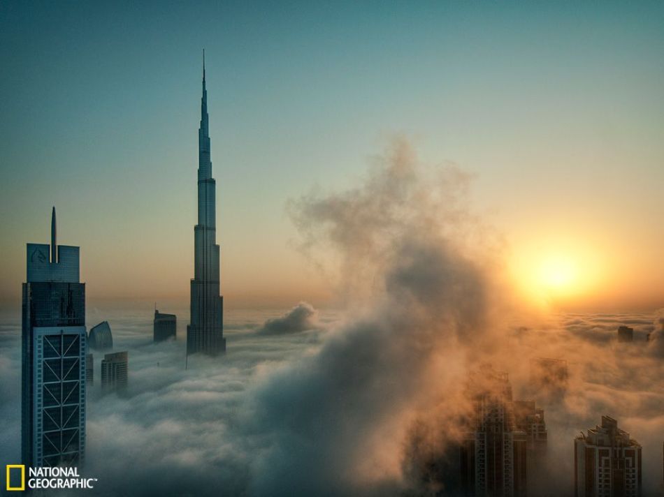 22444_590389_910814.jpg