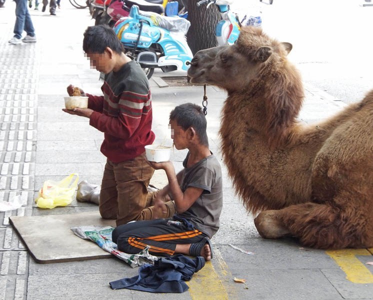 无意之间计算机曲谱(3)