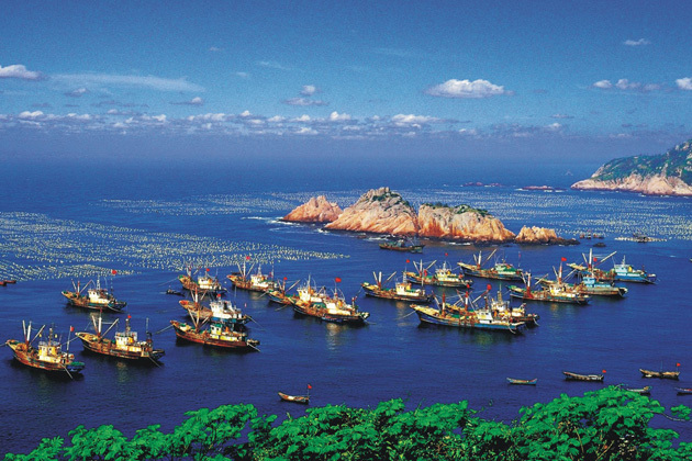 舟山海鲜美食汇_舟山海鲜_美食威海海鲜(2)