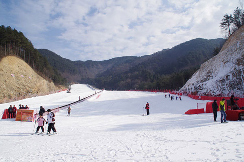 滑雪人口_哈尔滨 亚布力 雪乡 长白山7日5晚跟团游 长白山免费升级一晚五星温