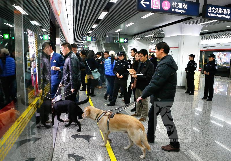 清波街道人口_清波鱼