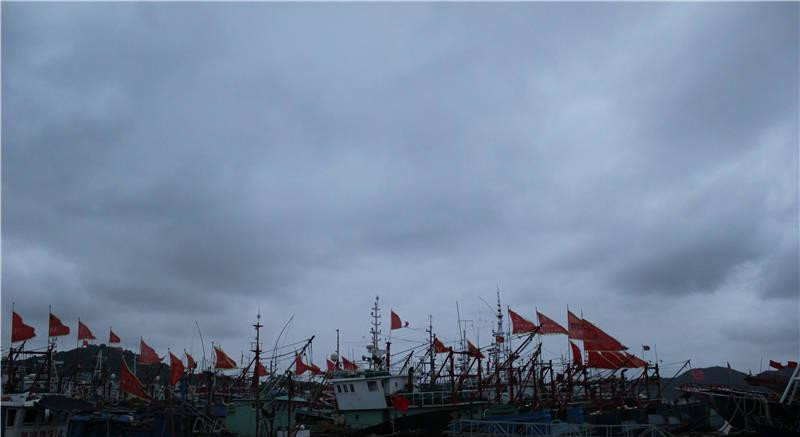 台风凤凰今日将登陆浙江 沿海现11级大风图片
