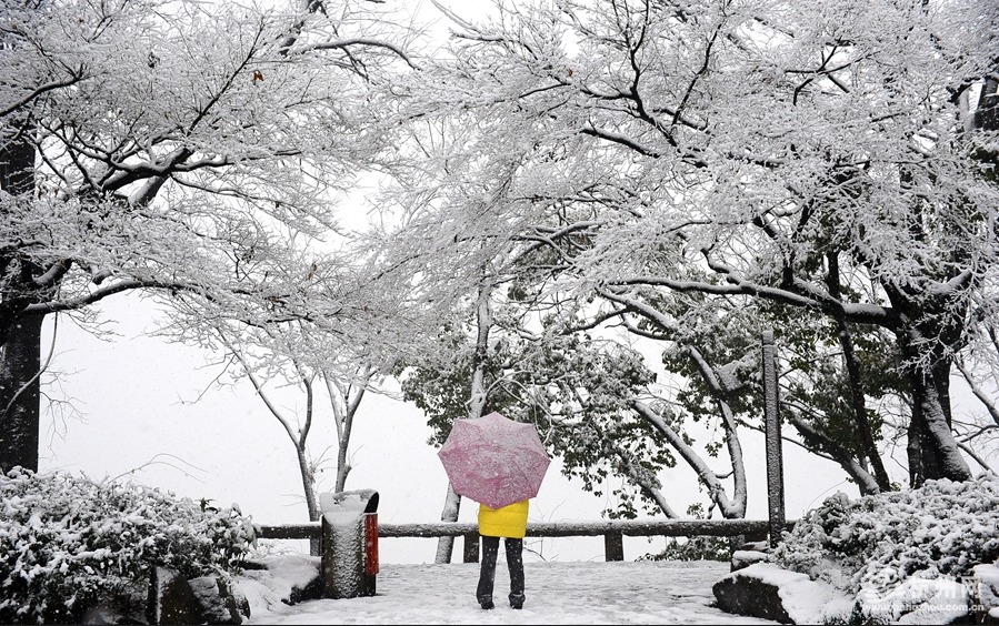 2016年杭州有哪些私立小学招转学生-2016年杭