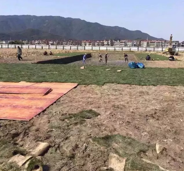 萧山河上人口_萧山河上镇绕城规划图